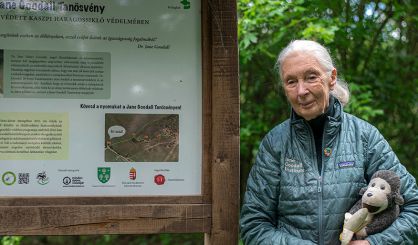 Tributes paid to conservationist Jane Goodall